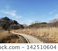 Wetlands and promenades 142510604