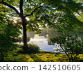 Trees reflected on the surface of the water 142510605
