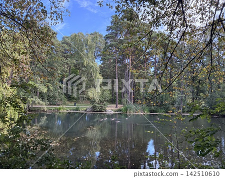 A pond where autumn leaves have begun to change color A pond where autumn leaves have begun to change color 142510610