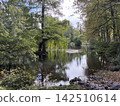 在森林裡的小池塘 142510614