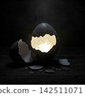 egg on stone background 142511071