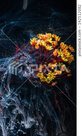 Yellow and orange flowers suspended in dark ink swirls with glowing dust particles Yellow and orange flowers suspended in dark ink swirls with glowing dust particles 142512082