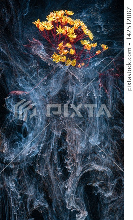 Yellow wildflower cluster drifting through swirling translucent smoke on dark textured background Yellow wildflower cluster drifting through swirling translucent smoke on dark textured background 142512087