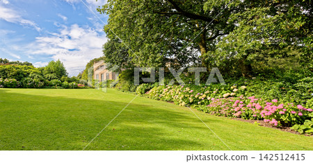 South Wing of Palladian Stourhead House Framed by Summer Lawns and Trees 142512415