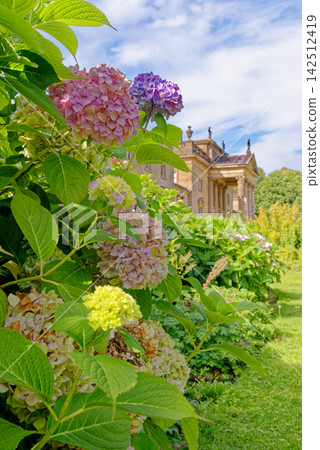 Stourhead House Palladian Architecture Framed by Blooming Hydrangeas Stourhead House Palladian Architecture Framed by Blooming Hydrangeas 142512419