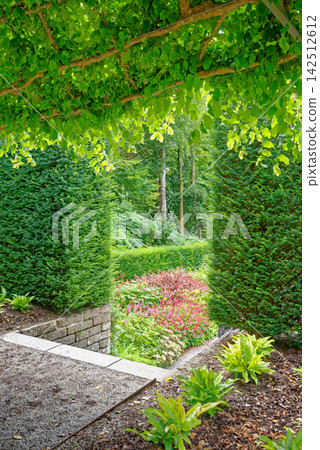 Winding Gravel Path through Lush Herbaceous Border at Castle Drogo 142512612
