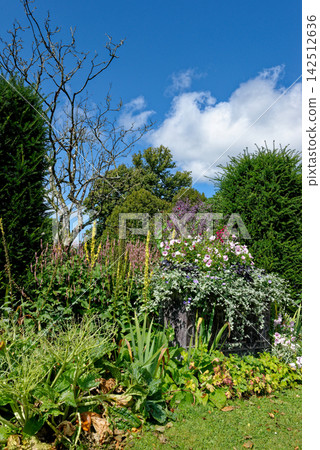 Lush Walled Garden Herbaceous Borders at Knightshayes Court 142512636