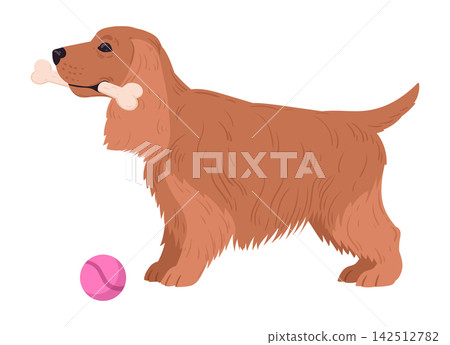 Cocker spaniel dog character. Cartoon cute spaniel with pink ball, playing domestic pet flat vector illustration. Playful companion pet 142512782
