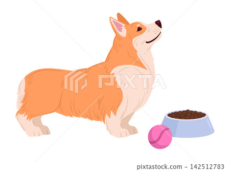 Corgi dog character. Cartoon orange corgi standing beside food bowl flat vector illustration. Cute pet lifestyle graphic 142512783