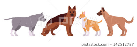 Dog breed collection. Cartoon dogs in different breeds and colors, shepherd, malinois, amstaff and bull terrier flat vector illustration set. Working dogs for veterinary and lifestyle design 142512787