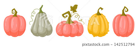 Halloween pumpkin collection. Cartoon assorted pumpkins with curling stems flat vector illustration set. Colorful autumn harvest graphics isolated on white background 142512794