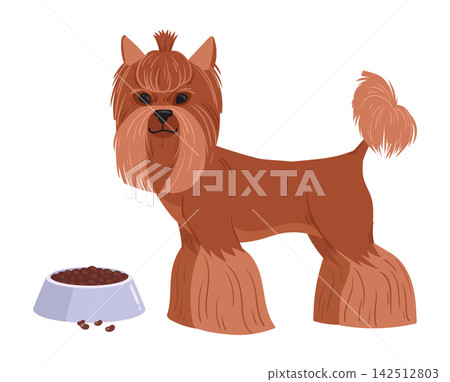 Yorkshire terrier dog. Small Yorkie standing beside food bowl flat vector illustration. Cute companion dog for pet design 142512803