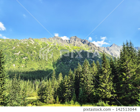 Coniferous forests and rocky peaks in the High Tatras. Dramatic alpine scenery on the border between Poland and Slovakia. Coniferous forests and rocky peaks in the High Tatras. Dramatic alpine scenery on the border between Poland and Slovakia. 142513044