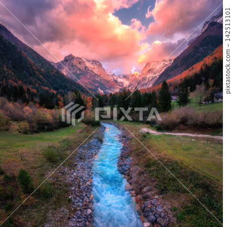 Stream in mountain valley with autumn trees, snowy peak at sunset Stream in mountain valley with autumn trees, snowy peak at sunset 142513101