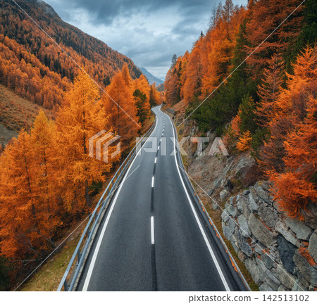 Aerial view of winding mountain road and orange forest in autumn Aerial view of winding mountain road and orange forest in autumn 142513102