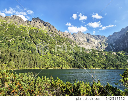A forest lake nestled among coniferous slopes and rugged peaks of the High Tatras. Natural mountain scenery from the border region of Poland and Slovakia. A forest lake nestled among coniferous slopes and rugged peaks of the High Tatras. Natural mountain scenery from the border region of Poland and Slovakia. 142513132
