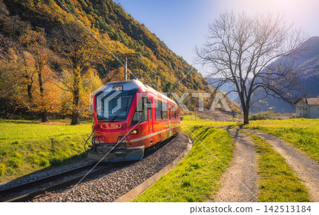 Bernina Express train in sunny autumn valley, Switzerland Bernina Express train in sunny autumn valley, Switzerland 142513184