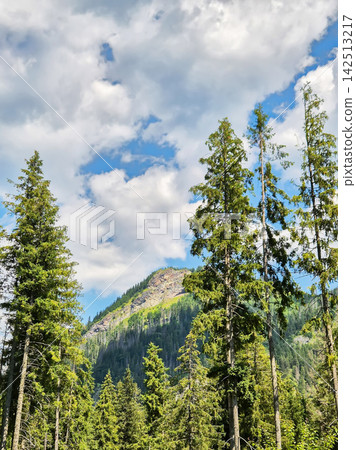 A mountain landscape in Zakopane, Poland, with a coniferous forest in the foreground. A rocky mountain peak rises against a cloudy sky. A mountain landscape in Zakopane, Poland, with a coniferous forest in the foreground. A rocky mountain peak rises against a cloudy sky. 142513217