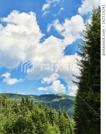 Atmospheric Tatra Mountains scenery near Zakopane, Poland. Coniferous and deciduous forests cover the slopes beneath dramatic rocky peaks partly hidden by mist. Atmospheric Tatra Mountains scenery near Zakopane, Poland. Coniferous and deciduous forests cover the slopes beneath dramatic rocky peaks partly hidden by mist. 142513241