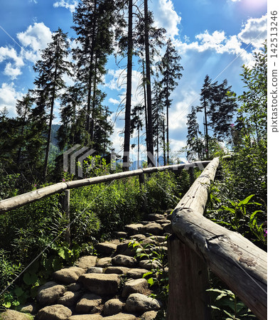 A scenic mountain path. Forested mountain slopes rise beyond the greenery along the trail. A scenic mountain path. Forested mountain slopes rise beyond the greenery along the trail. 142513246