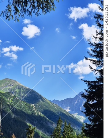 Mountain woodland affected by spruce forest decline in the High Tatras near Zakopane. Mountain woodland affected by spruce forest decline in the High Tatras near Zakopane. 142513253