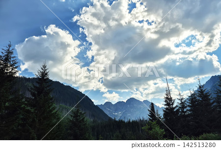 A picturesque view of the High Tatras with coniferous forest scattered across the mountain slopes. Natural alpine scenery near Zakopane, Poland. A picturesque view of the High Tatras with coniferous forest scattered across the mountain slopes. Natural alpine scenery near Zakopane, Poland. 142513280