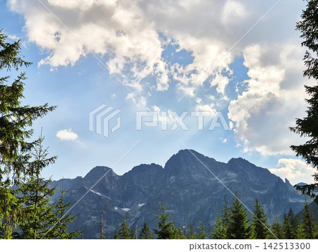 Natural mountain scenery near Zakopane in the Polish Tatra Mountains. Evergreen forest, green slopes and distant rocky ridges create a characteristic alpine landscape. Natural mountain scenery near Zakopane in the Polish Tatra Mountains. Evergreen forest, green slopes and distant rocky ridges create a characteristic alpine landscape. 142513300
