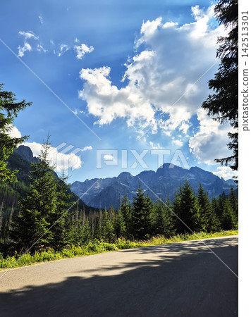 Natural mountain scenery near Zakopane in the Polish Tatra Mountains. Evergreen forest, green slopes and distant rocky ridges create a characteristic alpine landscape. Natural mountain scenery near Zakopane in the Polish Tatra Mountains. Evergreen forest, green slopes and distant rocky ridges create a characteristic alpine landscape. 142513301