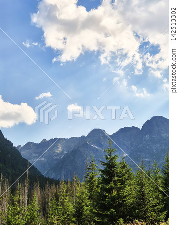 Natural mountain scenery near Zakopane in the Polish Tatra Mountains. Evergreen forest, green slopes and distant rocky ridges create a characteristic alpine landscape. Natural mountain scenery near Zakopane in the Polish Tatra Mountains. Evergreen forest, green slopes and distant rocky ridges create a characteristic alpine landscape. 142513302