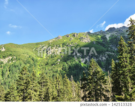 Lush coniferous forest and green mountain slopes in the Tatra Mountains. A blue sky with drifting clouds creates a classic alpine landscape. Lush coniferous forest and green mountain slopes in the Tatra Mountains. A blue sky with drifting clouds creates a classic alpine landscape. 142513328