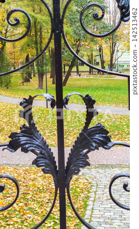 lack ornamental railings display elegant scrollwork and botanical motifs surrounded by autumn colors. lack ornamental railings display elegant scrollwork and botanical motifs surrounded by autumn colors. 142513462