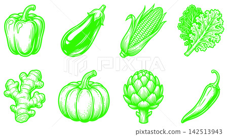 Collection of hand drawn vegetable icons featuring fresh produce for organic food and healthy cooking concepts Collection of hand drawn vegetable icons featuring fresh produce for organic food and healthy cooking concepts 142513943