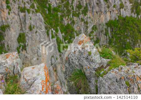 Mountain view overlooking valley and hills Mountain view overlooking valley and hills 142514110