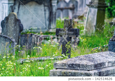 '''In Loving Memory of" light sadness feeling: close-up of an old, weathered stone gravestone surrounded by lush green grass and a path of wild pink flowers  on the outskirts of the English city 142514626
