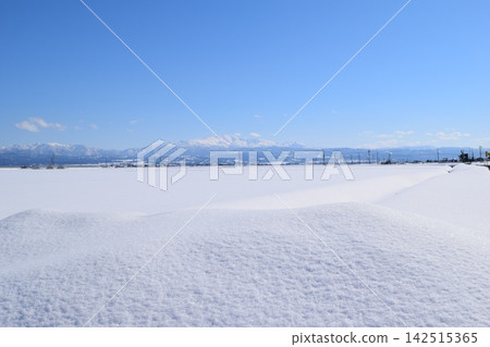 東北地區山形縣莊內的雪景 142515365