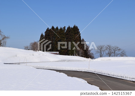 Snowy scenery in the Tohoku region Shonai, Yamagata Prefecture Snowy scenery in the Tohoku region Shonai, Yamagata Prefecture 142515367