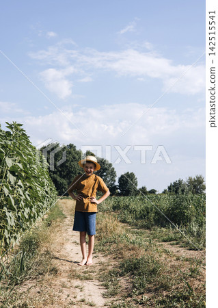 A school-age boy in a field with tall green sunflowers. Country landscapes, agro field. Growing sunflowers A school-age boy in a field with tall green sunflowers. Country landscapes, agro field. Growing sunflowers 142515541