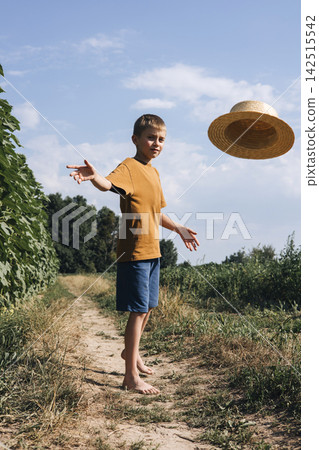 A school-age boy in a field with tall green sunflowers. Country landscapes, agro field. Growing sunflowers A school-age boy in a field with tall green sunflowers. Country landscapes, agro field. Growing sunflowers 142515542
