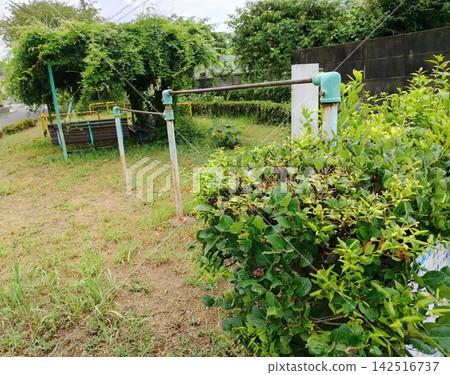 A park with monkey bars and overgrown grass A park with monkey bars and overgrown grass 142516737