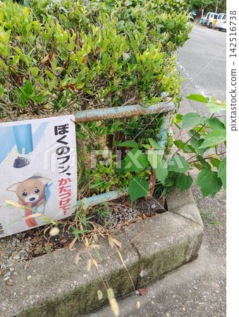 Sign posted on fence against leaving dog feces behind Sign posted on fence against leaving dog feces behind 142516738