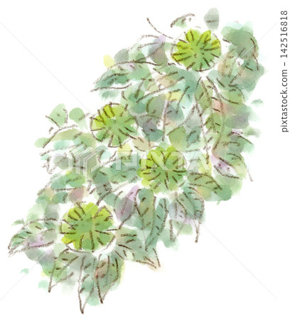 一幅水彩插圖,描繪了一種夏季植物,枝條上長著栗子果。 一幅水彩插圖,描繪了一種夏季植物,枝條上長著栗子果。 142516818