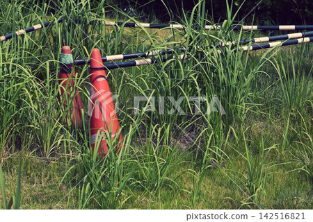 Abandoned traffic cones Abandoned traffic cones 142516821