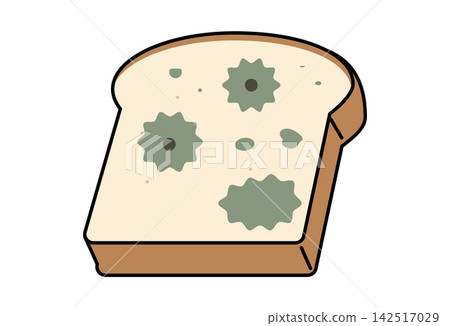 Moldy bread Moldy bread 142517029
