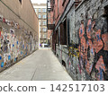 Alley in new york 142517103