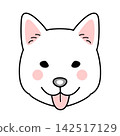 Vector illustration of a Kishu dog's face (front view) 142517129