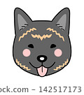 Vector illustration of a Kai Ken dog's face (front view) 142517173