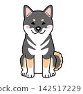Vector illustration of a Shikoku dog (full body, front view, sitting). 142517229