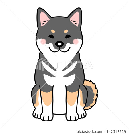四國犬的向量插圖（全身像，正面，坐姿）。 142517229