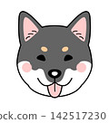 Vector illustration of a Shikoku dog's face (front view) 142517230