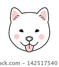 Vector illustration of a Hokkaido dog's face (front view) 142517540